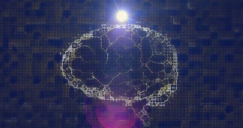 Digital Brain Network and Communication Concept - Download Free Stock Images Pikwizard.com