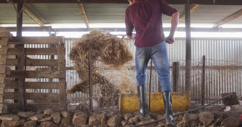 Rural Farmer Cleaning Pigsty with Determination