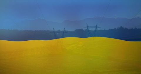 Ukrainian Flag Overlay Featuring Field and Electricity Poles - Download Free Stock Images Pikwizard.com
