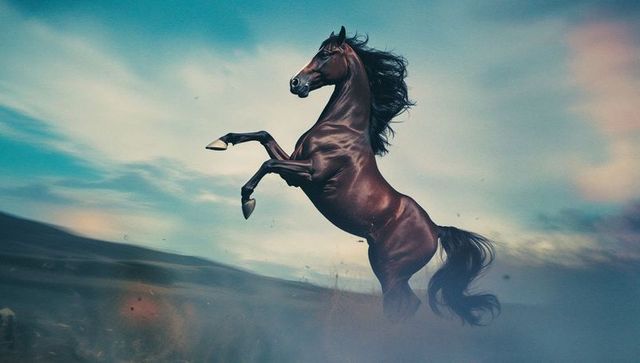 Majestic dark stallion rearing in misty landscape