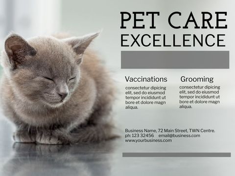 PET Care Excellence - Fostering Pet Well-being Health Services Ad - Download Free Stock Templates Pikwizard.com