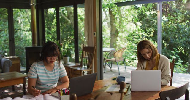 Women Working and Studying at Home in a Bright Setting - Download Free Stock Images Pikwizard.com