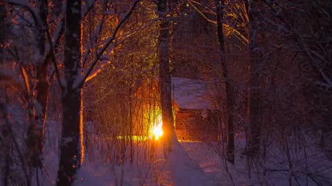 Sunlight streaming through snowy trees toward cabin at twilight with warm golden glow