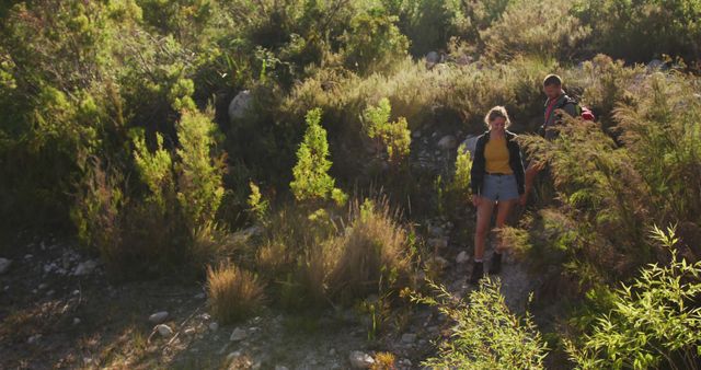 Two People Enjoying a Nature Hike in Sunny Forest - Download Free Stock Images Pikwizard.com