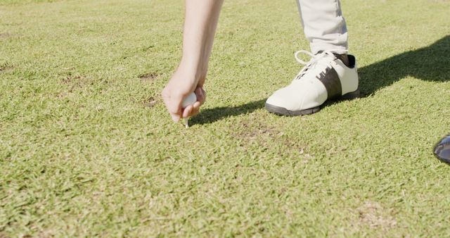 Image of hands of caucasian man putting ball on golf field. sporty, active lifestyle and playing golf concept.