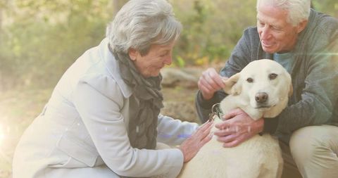 Senior Couple Enjoying Quality Time with Their Dog Outdoors