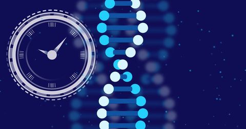 Clock Over DNA Strand Represents Genetic and Time Concept - Download Free Stock Images Pikwizard.com