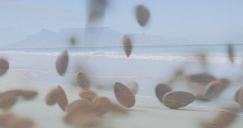 Drifting translucent seed pods over pastel beach shoreline with distant mountain