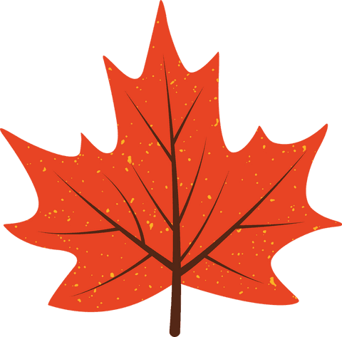 transparent maple leaf vector design with fall aesthetic - Download Free Stock Videos Pikwizard.com