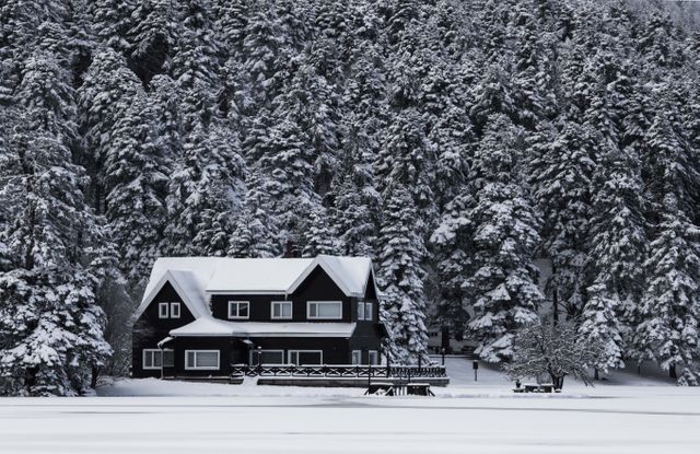 Description: House covered in snow nestled in a dense forest of tall pine trees. Perfect for content related to winter tourism, holiday getaways, nature, and seasonal landscapes. Could be used in advertisements for winter resorts, outdoorsy winter holiday campaigns, or articles discussing the serene beauty of winter forests.