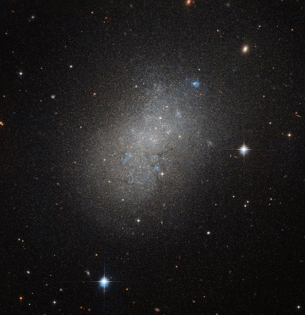 This image, courtesy of the NASA/ESA Hubble Space Telescope’s Advanced Camera for Surveys (ACS), captures the glow of distant stars within NGC 5264, a dwarf galaxy located just over 15 million light-years away in the constellation of Hydra (The Sea Serpent).  Dwarf galaxies like NGC 5264 typically possess around a billion stars — just 1 percent of the number of stars found within the Milky Way. They are usually found orbiting other larger galaxies such as our own, and are thought to form from the material left over from the messy formation of their larger cosmic relatives.  NGC 5264 clearly possesses an irregular shape — unlike the more common spiral or elliptical galaxies — with knots of blue star formation. Astronomers believe that this is due to the gravitational interactions between NGC 5264 and other galaxies nearby. These past flirtations sparked the formation of new generations of stars, which now glow in bright shades of blue.  Credit: ESA/Hubble &amp; NASA  <b><a href="http://www.nasa.gov/audience/formedia/features/MP_Photo_Guidelines.html" rel="nofollow">NASA image use policy.</a></b>  <b><a href="http://www.nasa.gov/centers/goddard/home/index.html" rel="nofollow">NASA Goddard Space Flight Center</a></b> enables NASA’s mission through four scientific endeavors: Earth Science, Heliophysics, Solar System Exploration, and Astrophysics. Goddard plays a leading role in NASA’s accomplishments by contributing compelling scientific knowledge to advance the Agency’s mission.  <b>Follow us on <a href="http://twitter.com/NASAGoddardPix" rel="nofollow">Twitter</a></b>  <b>Like us on <a href="http://www.facebook.com/pages/Greenbelt-MD/NASA-Goddard/395013845897?ref=tsd" rel="nofollow">Facebook</a></b>  <b>Find us on <a href="http://instagrid.me/nasagoddard/?vm=grid" rel="nofollow">Instagram</a></b>      