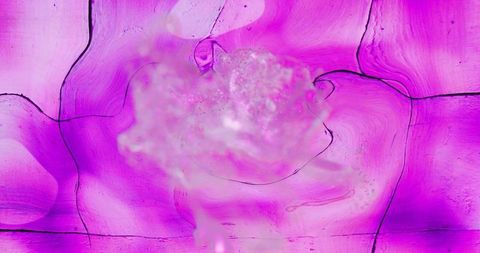 Vibrant Abstract Art with Pink and Purple Swirling Patterns