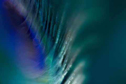 Vibrant abstract close-up with blue-green hues & textural flow