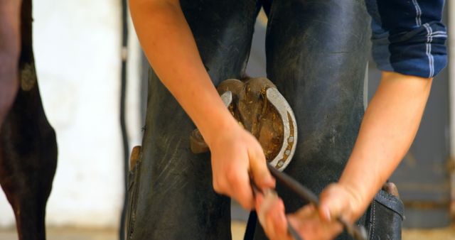 A farrier working on a horse's hoof, securing a horseshoe using specialized tools. Shows a close-up of the craft with focus on the hands and tools. Great for illustrating animal care, traditional skills, craftsmanship, and rural or equestrian themes.