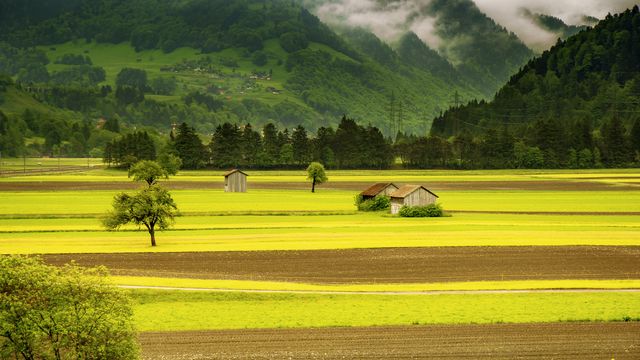 Scenic rural landscape showcasing vibrant green fields and quaint barns nestled in a valley with misty green hills and forest in the background. Ideal for use in travel brochures, nature documentaries, farming and agricultural content, or background designs promoting peace, tranquility, and natural beauty.