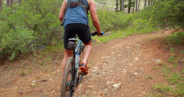 Cyclist Riding on Rocky Forest Trail - Download Free Stock Images Pikwizard.com