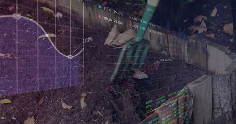 Gardening with stock market data overlay for growth concept