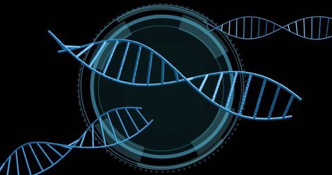 Abstract DNA Helix with Digital Interface Highlighting Genetics Research - Download Free Stock Images Pikwizard.com