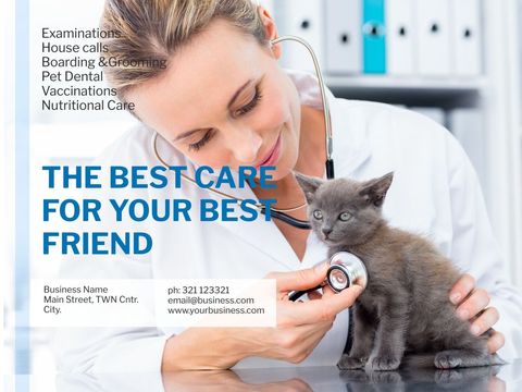 veterinarian examining cute kitten promoting pet healthcare services - Download Free Stock Templates Pikwizard.com