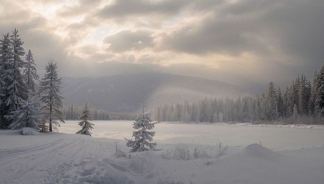 Silent winter dawn over frozen lake in snowy mountain valley with frosted evergreens and soft light