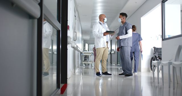 Doctors Consulting in a Bright Hospital Corridor - Download Free Stock Images Pikwizard.com