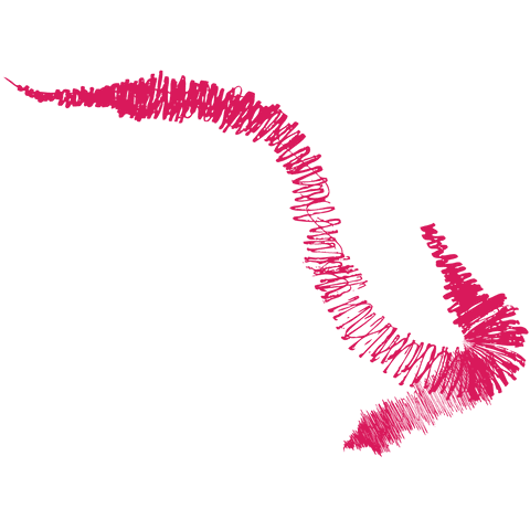 Curved Pink Arrow Illustrating Movement on Transparent Background - Download Free Stock Videos Pikwizard.com