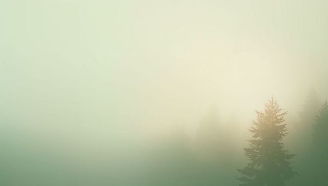 Misty evergreen silhouette rising from foggy forest slope with soft morning light