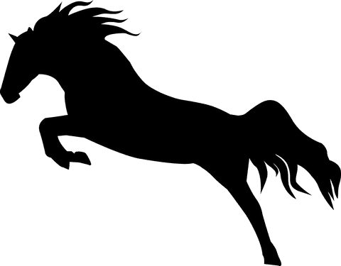 silhouette of horse on transparent background - Download Free Stock Videos Pikwizard.com