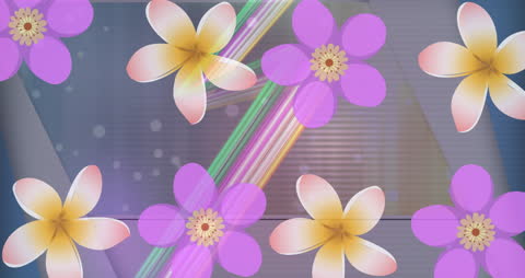 Abstract Floral Overlay with Light Effects