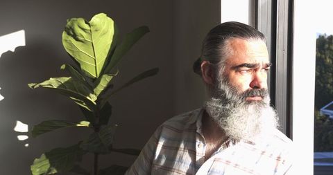 Mature Man Gazing Out Window Near Fiddle-Leaf Fig Plant at Home