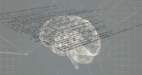 Digital Brain with Data Network Overlay Illustrating AI - Download Free Stock Images Pikwizard.com