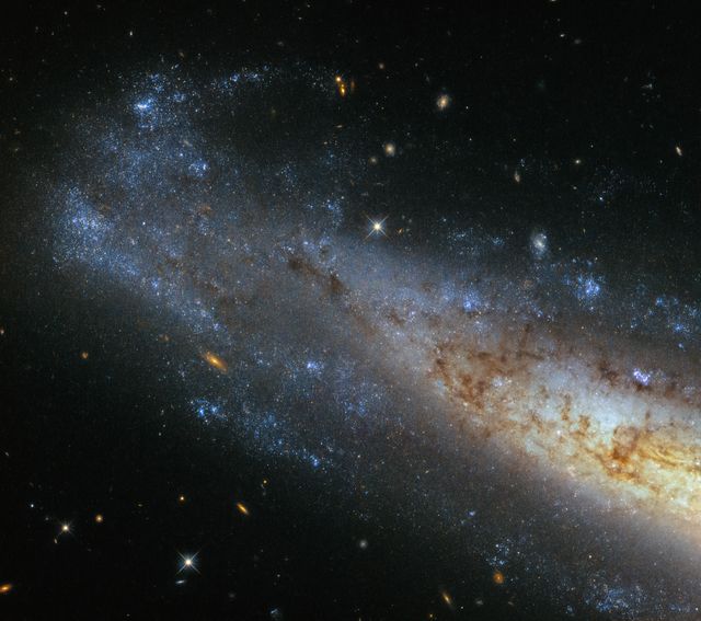 This image from Hubble’s Wide Field Camera 3 (WFC3) shows a section of NGC 1448, a spiral galaxy located about 50 million light-years from Earth in the little-known constellation of Horologium (The Pendulum Clock). We tend to think of spiral galaxies as massive and roughly circular celestial bodies, so this glittering oval does not immediately appear to fit the visual bill. What’s going on?  Imagine a spiral galaxy as a circular frisbee spinning gently in space. When we see it face on, our observations reveal a spectacular amount of detail and structure — a great example from Hubble is the telescope’s view of Messier 51, otherwise known as the Whirlpool Galaxy. However, the NGC 1448 frisbee is very nearly edge-on with respect to Earth, giving it an appearance that is more oval than circular. The spiral arms, which curve out from NGC 1448’s dense core, can just about be seen.  Although spiral galaxies might appear static with their picturesque shapes frozen in space, this is very far from the truth. The stars in these dramatic spiral configurations are constantly moving as they orbit around the galaxy’s core, with those on the inside making the orbit faster than those sitting further out.  This makes the formation and continued existence of a spiral galaxy’s arms something of a cosmic puzzle, because the arms wrapped around the spinning core should become wound tighter and tighter as time goes on — but this is not what we see. This is known as the winding problem.  Credit: ESA/Hubble &amp; NASA #nasagoddard #space #science #Hubble #star   <b><a href="http://www.nasa.gov/audience/formedia/features/MP_Photo_Guidelines.html" rel="nofollow">NASA image use policy.</a></b>  <b><a href="http://www.nasa.gov/centers/goddard/home/index.html" rel="nofollow">NASA Goddard Space Flight Center</a></b> enables NASA’s mission through four scientific endeavors: Earth Science, Heliophysics, Solar System Exploration, and Astrophysics. Goddard plays a leading role in NASA’s accomplishments by contributing compelling scientific knowledge to advance the Agency’s mission.  <b>Follow us on <a href="http://twitter.com/NASAGoddardPix" rel="nofollow">Twitter</a></b>  <b>Like us on <a href="http://www.facebook.com/pages/Greenbelt-MD/NASA-Goddard/395013845897?ref=tsd" rel="nofollow">Facebook</a></b>  <b>Find us on <a href="http://instagrid.me/nasagoddard/?vm=grid" rel="nofollow">Instagram</a></b>      