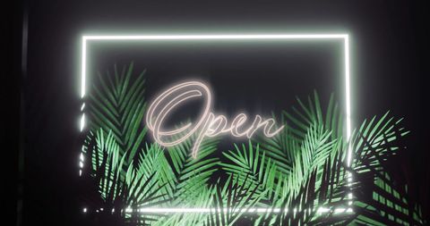 Neon Open Sign with Palm Leaves on Black Background
