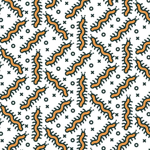 seamless centipede pattern on transparent background - Download Free Stock Videos Pikwizard.com