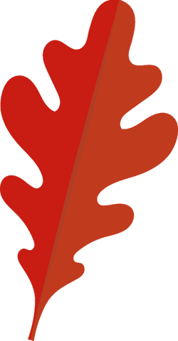 Minimalist Red Oak Leaf Illustration on Transparent Background - Download Free Stock Videos Pikwizard.com