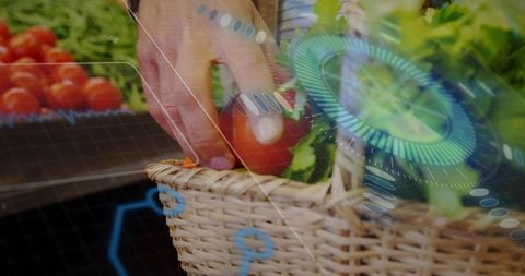 Hand placing tomato in wicker basket with futuristic hud overlays at farmers market