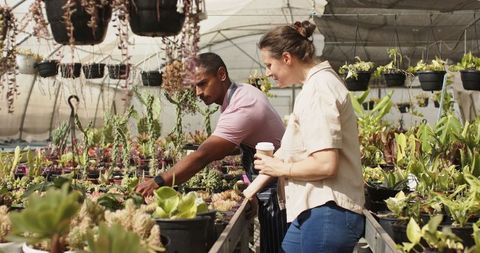Diverse Workers Analyzing Succulent Pot in Greenhouse Nursery