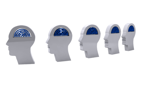 digital heads with maze inside on transparent background - Download Free Stock Videos Pikwizard.com
