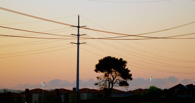 Power lines and a tree are silhouetted against a warm sunset sky in an urban landscape. The soft hues of the evening sky add a calm and tranquil feel, perfect for themes related to energy, urban life, and natural beauty. This stock image is ideal for illustrating the intersection of nature and man-made structures, showcasing infrastructure, or adding a serene backdrop to environmental and utility topics.