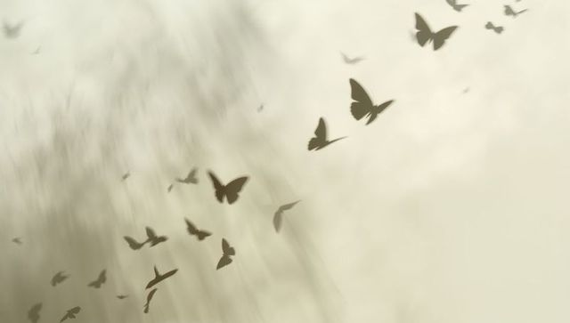 Sepia butterflies drifting across misty meadow with soft motion blur and negative space