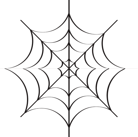 transparent spider web illustration with intricate design - Download Free Stock Videos Pikwizard.com