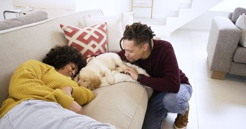African american couple cuddling golden retriever puppy on beige sofa in cozy bright home