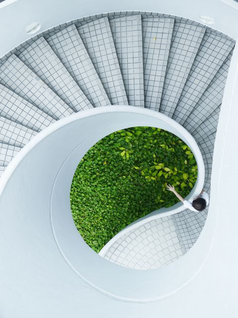 Spiraling staircase viewed from above with green foliage center. Use for architecture design, modern urban landscapes, or environmental harmony.