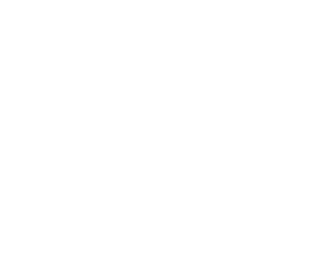 elegant transparent botanical line art with star sparkles - Download Free Stock Videos Pikwizard.com