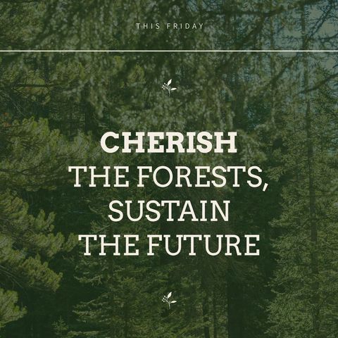 Forest Conservation Message on Lush Green Trees Background - Download Free Stock Templates Pikwizard.com