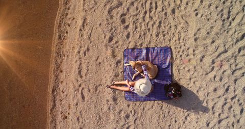 Aerial View of Woman and Dog Relaxing on Beach