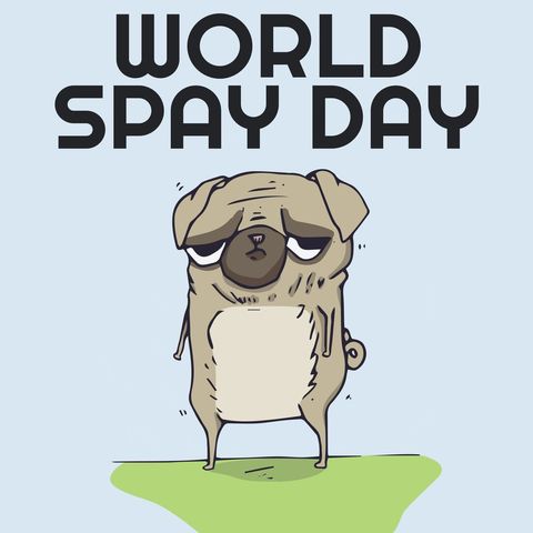 World Spay Day Cartoon Pug Encouraging Pet Population Control - Download Free Stock Templates Pikwizard.com