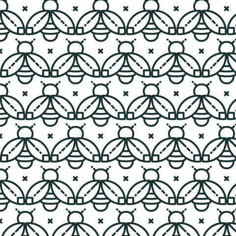 Seamless Beetle Pattern on Transparent Background for Mockups - Download Free Stock Videos Pikwizard.com