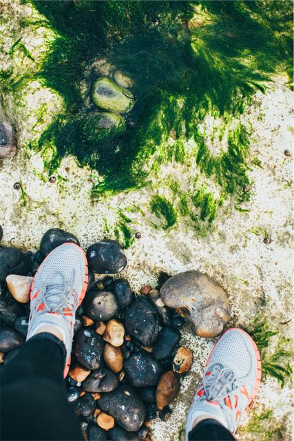 Feet in gray sneakers standing on a rocky shore covered with green seaweed. Suitable for promoting outdoor activities, summer travel, adventure trips, coastal exploration, or lifestyle articles focused on healthy and active living.
