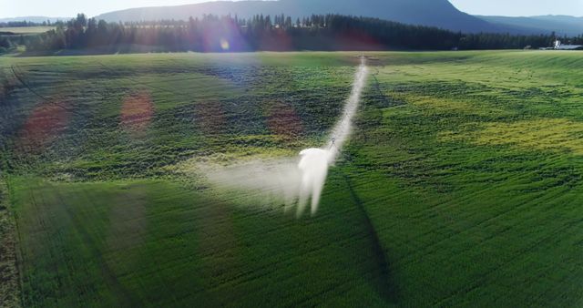 Agricultural irrigation system waters a large green field under the bright sunlight, with copy space. Efficient water management is essential for crop growth and sustainability in farming practices.
